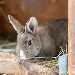 Am Schleifenbach * Saalfeld Saale