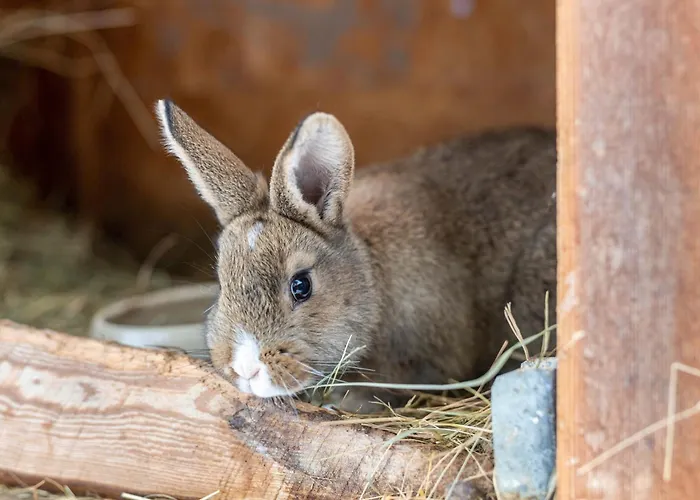 Am Schleifenbach * Saalfeld Saale